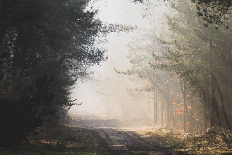 Veluwe